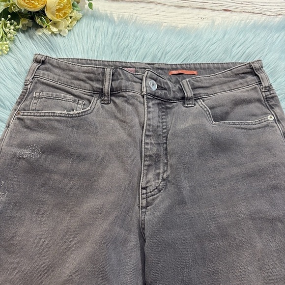 Anthropologie Pilcro The Borrowed Boyfriend Distressed Grey Jeans sz 26 - Picture 3 of 10